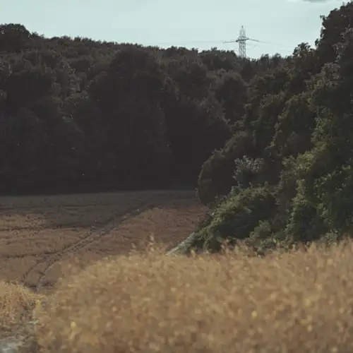 Foro Legal - Área Derecho Ambiental